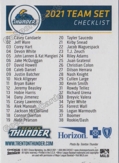 2021 Buffalo Bisons Trenton Thunder Checklist