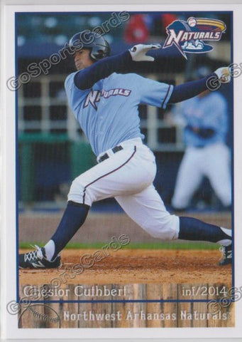 2014 Northwest Arkansas Naturals Cheslor Cuthbert