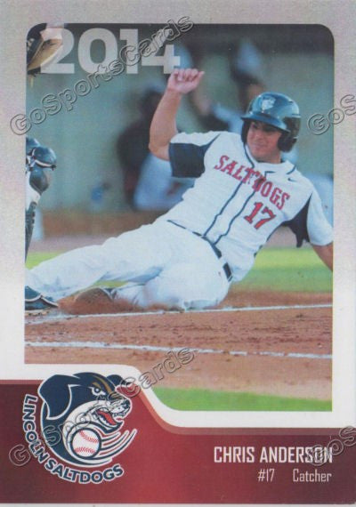 2014 Lincoln Saltdogs Chris Anderson