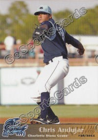 2011 Charlotte Stone Crabs Chris Andujar