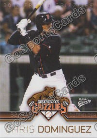 2012 Fresno Grizzlies Chris Dominguez