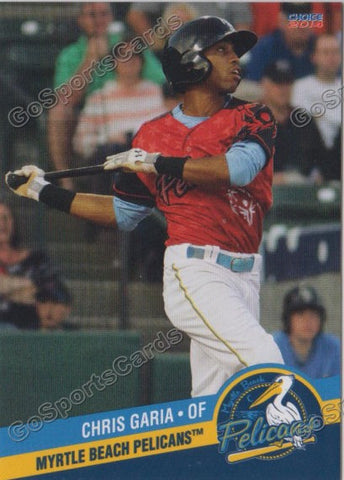 2014 Myrtle Beach Pelicans Chris Garia