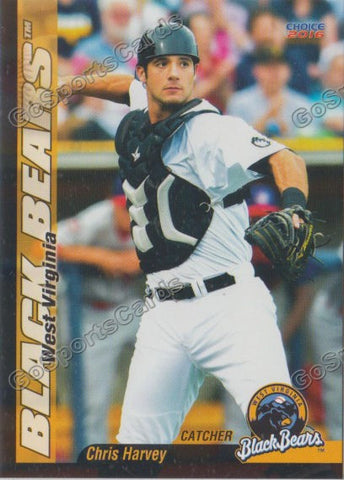 2016 West Virginia Black Bears Chris Harvey