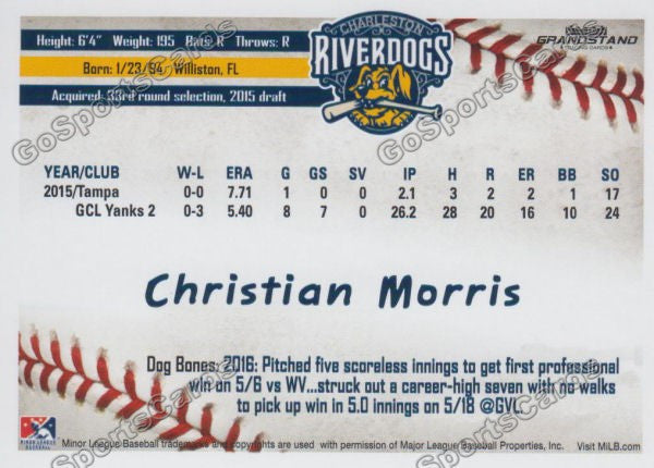 2016 Charleston RiverDogs Christian Morris Back of Card