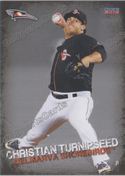 2016 Delmarva Shorebirds Christian Turnipseed