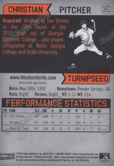 2016 Delmarva Shorebirds Christian Turnipseed  Back of Card