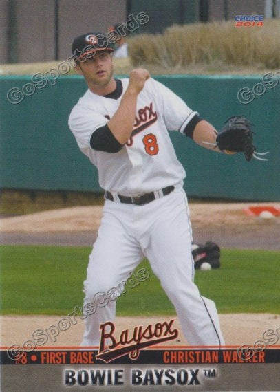 2014 Bowie Baysox Team Set