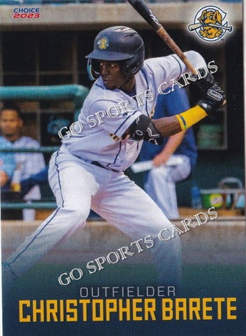 2023 Salem Red Sox Jedixson Paez – Go Sports Cards