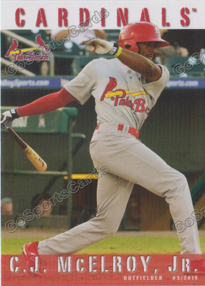 2015 Palm Beach Cardinals CJ McElroy Jr