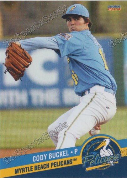 2014 Myrtle Beach Pelicans Cody Buckel