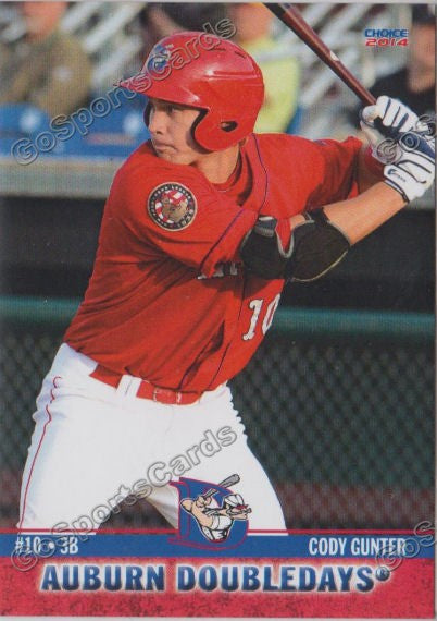 2014 Auburn Doubledays Cody Gunter
