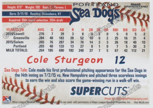 2016 Portland Sea Dogs Cole Sturgeon Back of Card