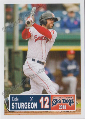 2018 Portland Sea Dogs Cole Sturgeon