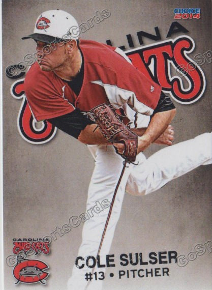 2014 Carolina Mudcats Cole Sulser
