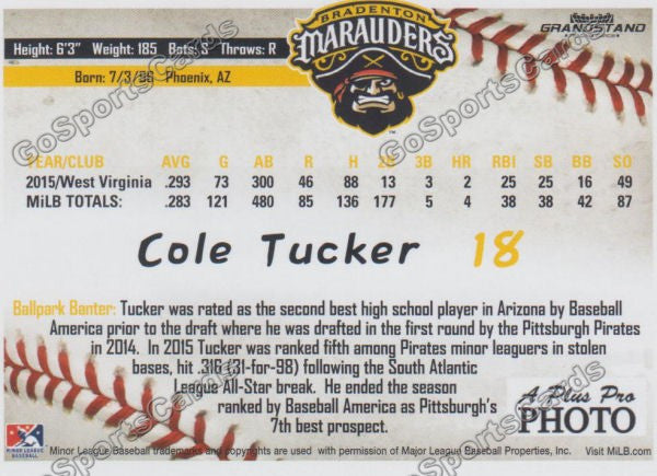 2016 Bradenton Marauders Cole Tucker Back of Card