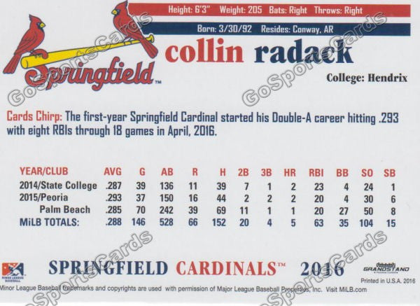2016 Springfield Cardinals Collin Radack Back of Card