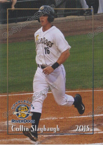 2015 Charleston Riverdogs Collin Slaybaugh
