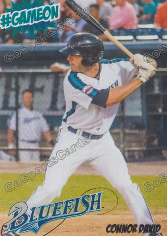 2016 Bridgeport Bluefish Connor David