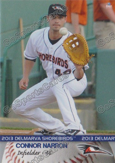 2013 Delmarva Shorebirds Connor Narron