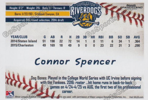 2016 Charleston RiverDogs Connor Spencer Back of Card