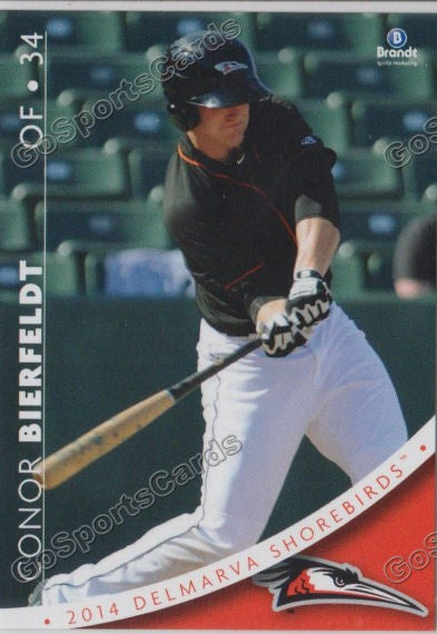 2014 Delmarva Shorebirds Conor Bierfeldt
