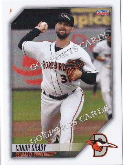 2022 Delmarva Shorebirds Conor Grady