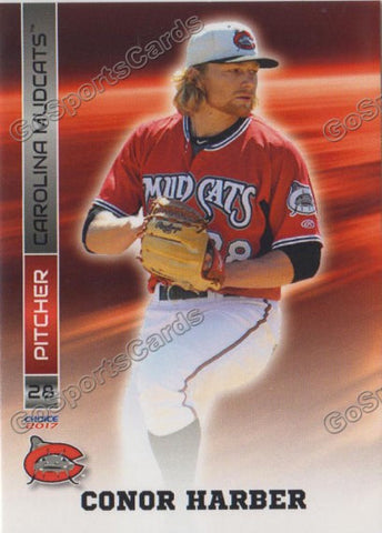 2017 Carolina Mudcats Conor Harber