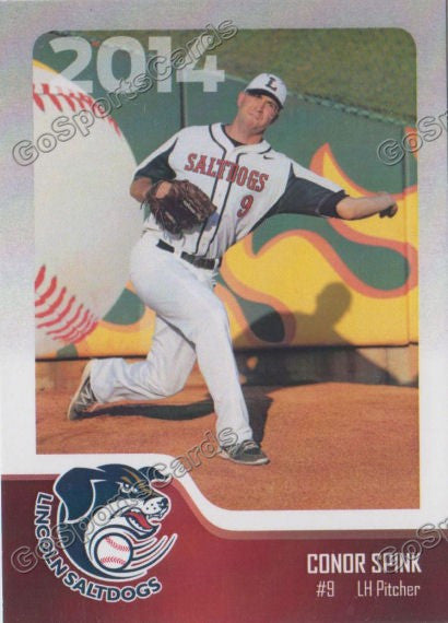 2014 Lincoln Saltdogs Conor Spink