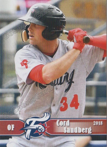 2018 Reading Fightin Phils Cord Sandberg