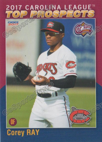 2017 Carolina League Top Prospect Corey Ray