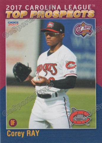 2017 Carolina League Top Prospect Corey Ray