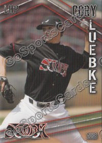 2008 Lake Elsinore Storm Cory Luebke