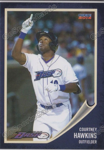 2014 Winston Salem Dash Courtney Hawkins