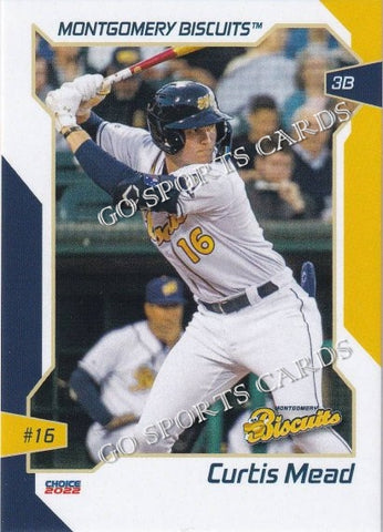 2022 Montgomery Biscuits Curtis Mead