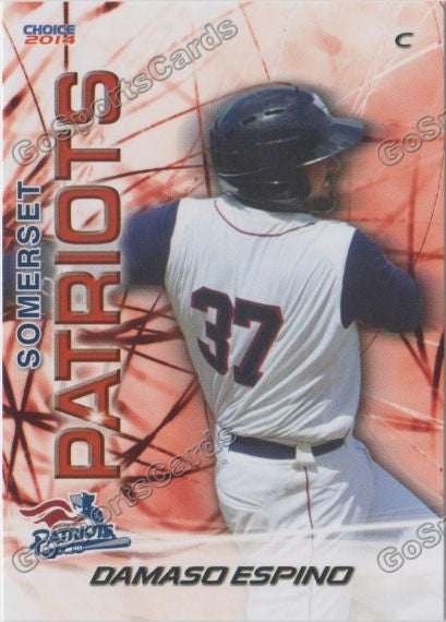 2014 Somerset Patriots Damaso Espino