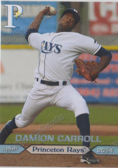 2014 Princeton Rays Damion Carroll