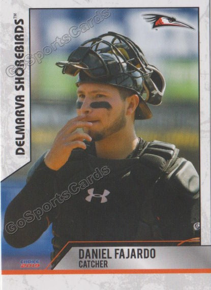 2019 Delmarva Shorebirds Daniel Fajardo