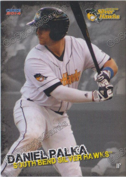 2014 South Bends Silver Hawks Daniel Palka