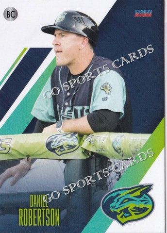 2022 Lynchburg Hillcats Daniel Robertson