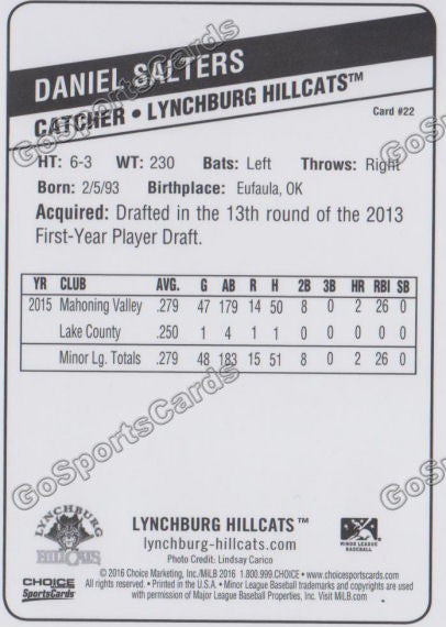 2016 Lynchburg Hillcats Daniel Salters  Back of Card