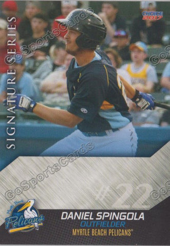 2017 Myrtle Beach Pelicans Daniel Spingola