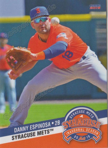 2019 Syracuse Mets Danny Espinosa