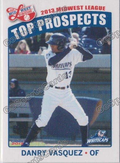 2013 MidWest League Top Prospect Danry Vasquez