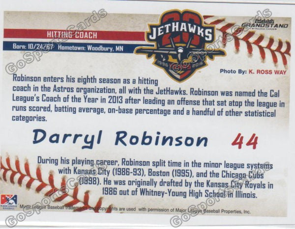 2016 Lancaster JetHawks Darryl Robinson Back of Card