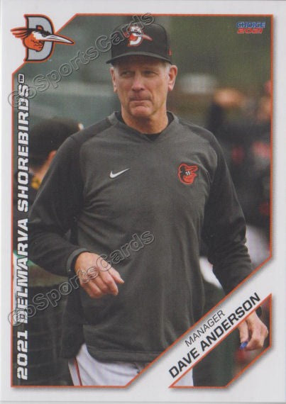 2021 Delmarva Shorebirds Dave Anderson