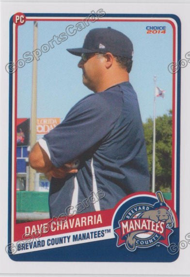 2014 Brevard County Manatees Dave Chavarria
