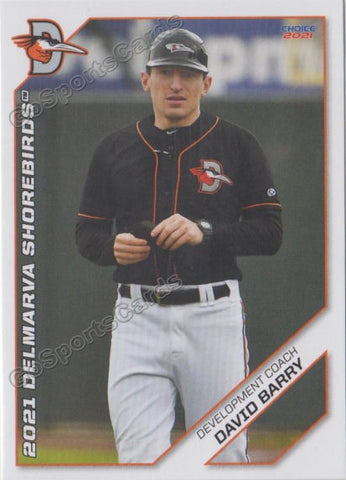 2021 Delmarva Shorebirds David Barry