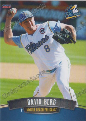2016 Myrtle Beach Pelicans David Berg
