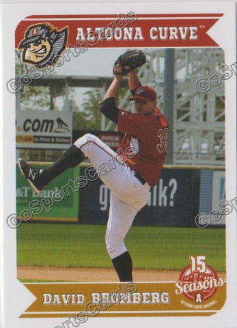 2013 Altoona Curve David Bromberg
