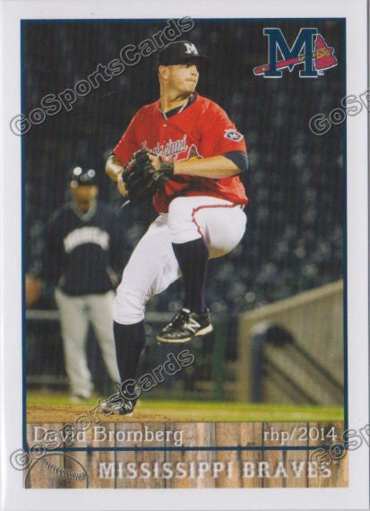 2014 Mississippi Braves David Bromberg
